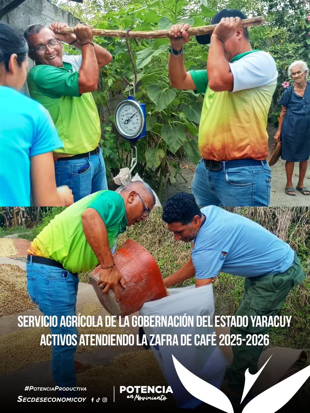 Servicio Agrícola del Estado Yaracuy ya se encuentra en operatividad plena, desplegado en las zonas...