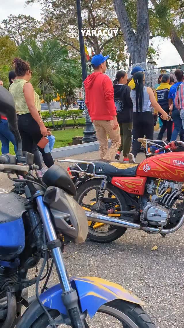 Activamos el Plan de Prevención de Accidentes para fomentar la conciencia vial y reducir la siniestr...