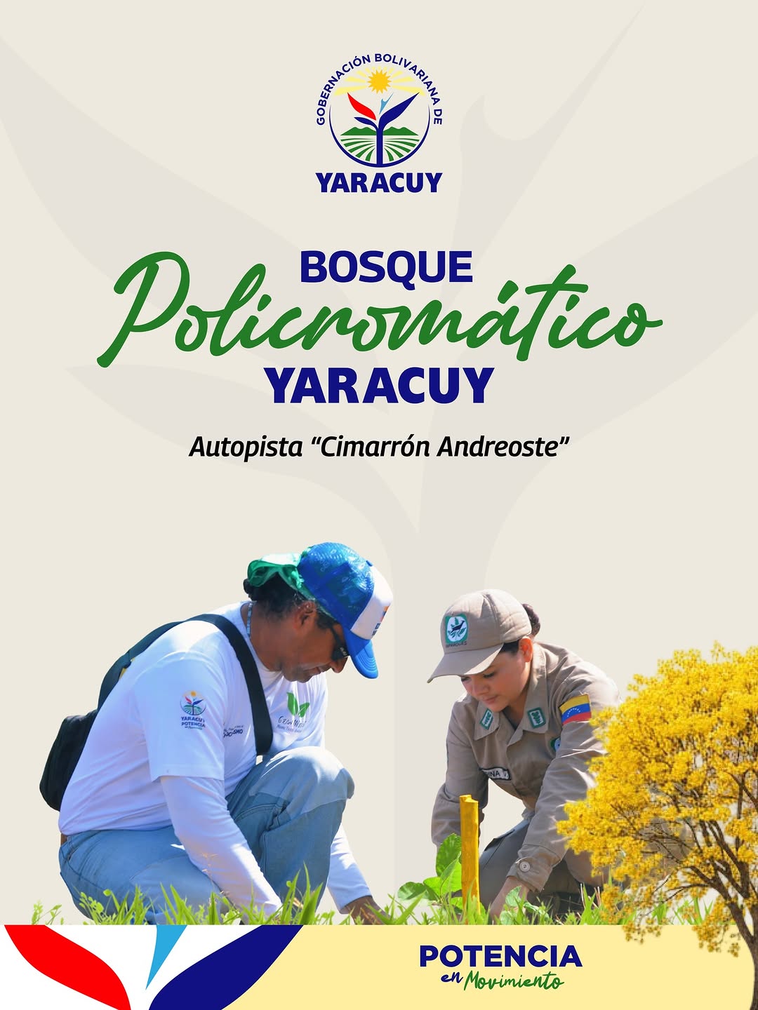 En homenaje a los 200 años del Decreto de Chuquisaca, se dio inicio a la siembra de 400 árboles que...