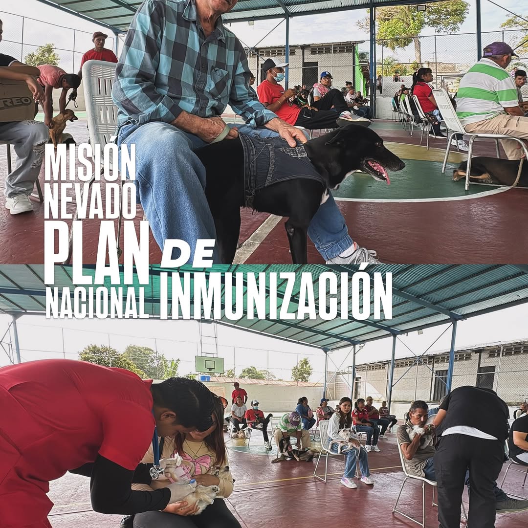 La Misión Nevado despliega el Plan Nacional de Inmunización en nuestro estado, reforzando la salud d...
