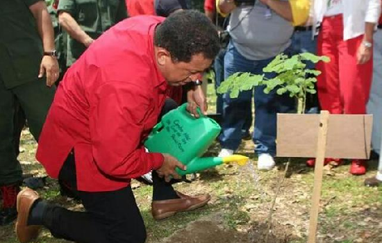 imagen de noticia