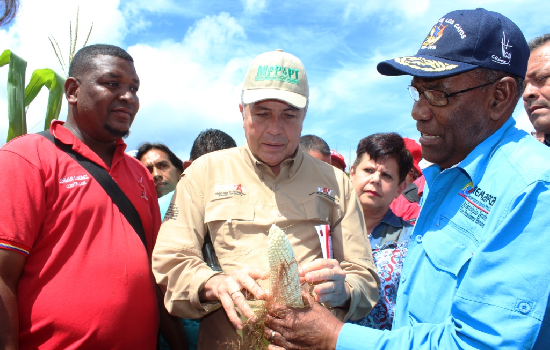 imagen de noticia