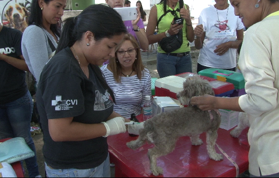 imagen de noticia