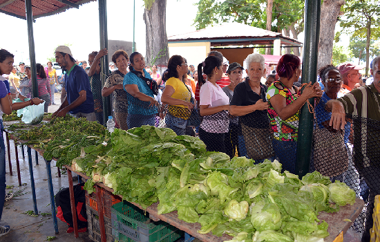 imagen de noticia