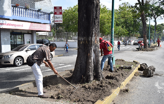 imagen de noticia