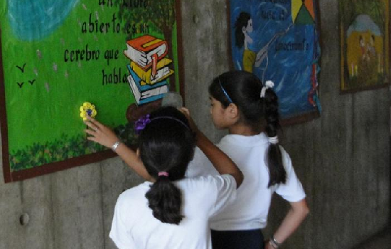 imagen de noticia