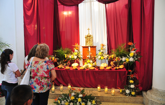 imagen de noticia